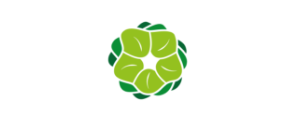 Conception de logo
